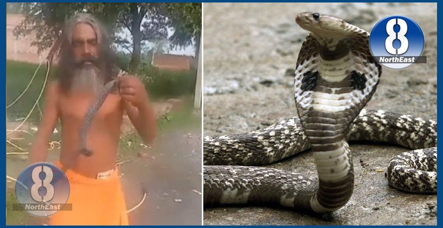 snake sadhu