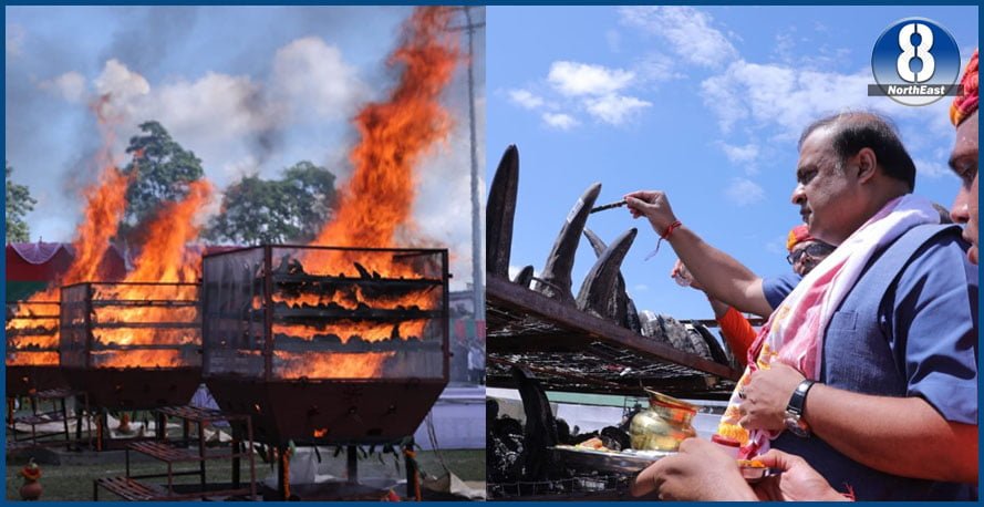 Assam Govt Burns Stockpiles of 2,479 Rhino Horns on World Rhino Day 1 G8 4