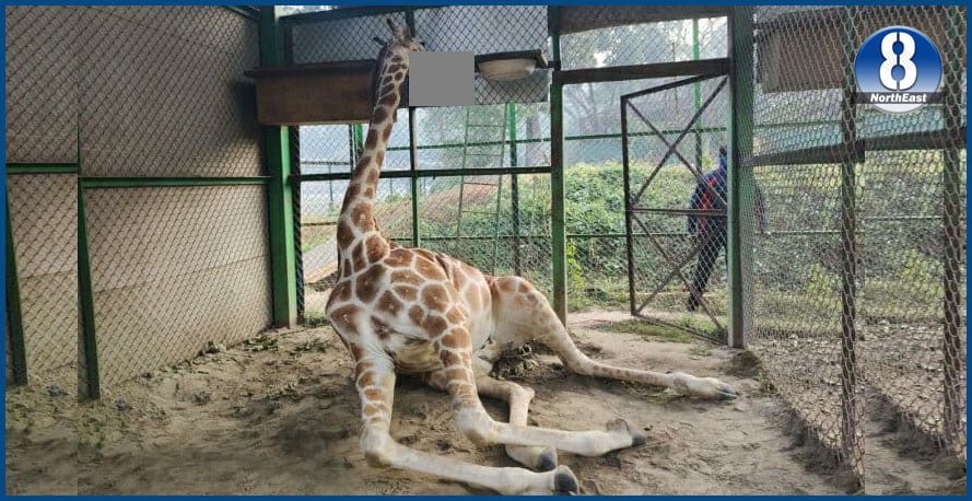 state zoo