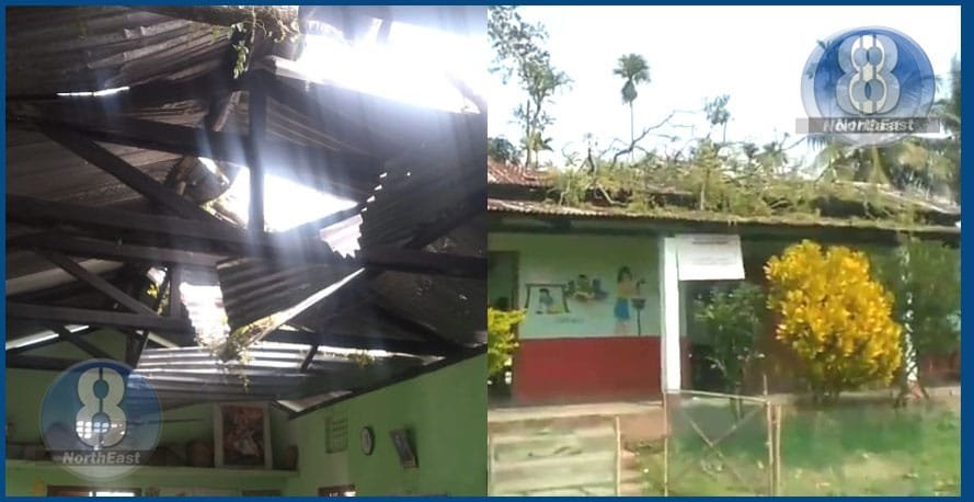 প্ৰকাণ্ড গছ পৰি প্ৰাথমিক বিদ্যালয়ৰ দহজন ছাত্ৰ-ছাত্ৰী আহত 3 G2 19
