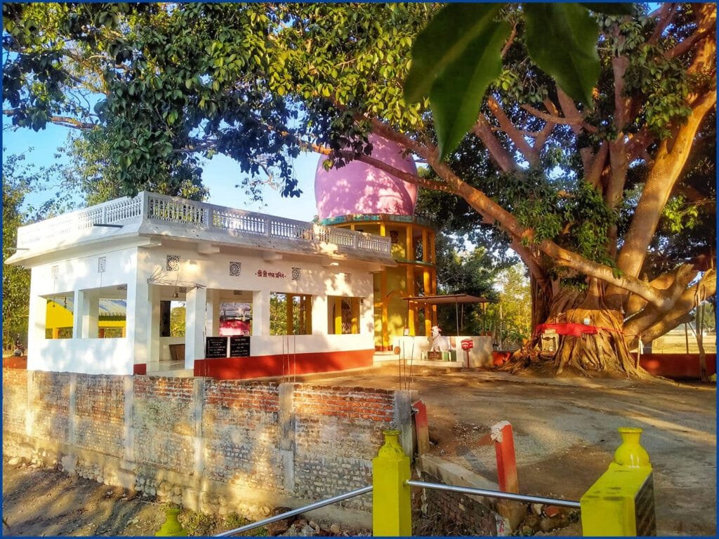 ইতিহাসপ্ৰাসিদ্ধ পদ্মাথানত কাছৰ অস্বাভাৱিক মৃত্যু, উদ্বিগ্ন প্ৰকৃতিপ্ৰেমী 1 1