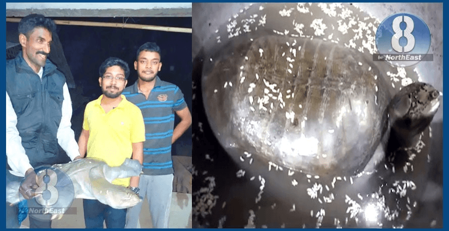 লখিমপুৰত ১৪ কেজি ওজনৰ কাছ উদ্ধাৰ... 1 image 2022 03 14 124156