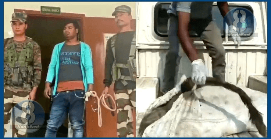 অমানৱীয়! খাদ্যৰ সন্ধানত ওলাই অহা বনৰীয়া ম'হ বধ কৰি খালে ভোজ-ভাত, এজনক গ্ৰেপ্তাৰ... 1 image 2022 03 24 125146