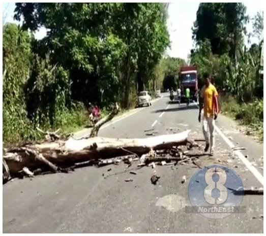 চলন্ত বাহনৰ ওপৰত পৰিল প্ৰকাণ্ড গছ, থিতাতে মৃত্যু মৃত্যু 3 p3 2