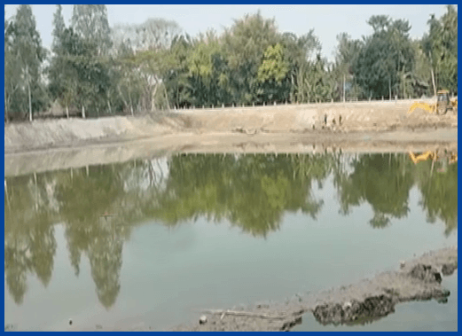 ইতিহাসপ্ৰাসিদ্ধ পদ্মাথানত কাছৰ অস্বাভাৱিক মৃত্যু, উদ্বিগ্ন প্ৰকৃতিপ্ৰেমী 2 vlcsnap 2022 03 01 12h20m04s394