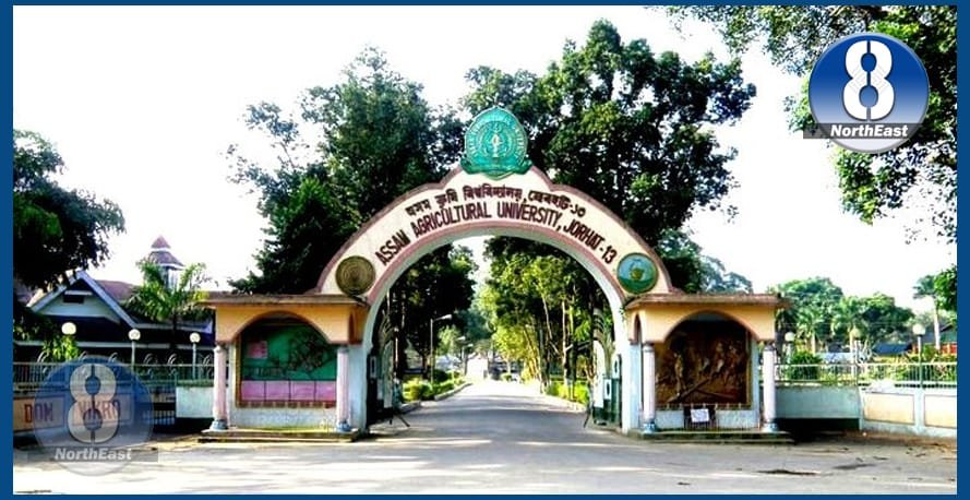 assam krishi