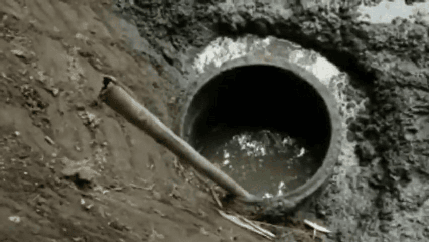 বটদ্ৰৱাৰ কুঁজি সত্ৰত নৱম শতিকাৰ পাটনাদ উদ্ধাৰ... 2 image 154