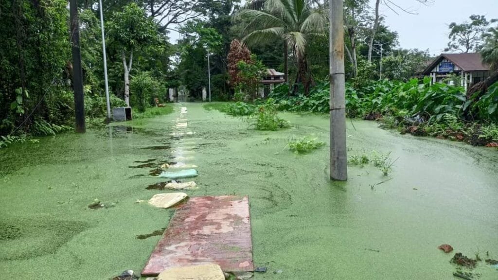 কৃত্ৰিম বানপানীৰ কবলত গুৱাহাটী বিশ্ববিদ্যালয় চৌহদ! ৯০ জন আবাসীক আন আবাসলৈ স্থানান্তৰ 2 2