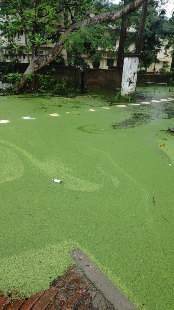 কৃত্ৰিম বানপানীৰ কবলত গুৱাহাটী বিশ্ববিদ্যালয় চৌহদ! ৯০ জন আবাসীক আন আবাসলৈ স্থানান্তৰ 3 WhatsApp Image 2022 06 17 at 7.22.01 PM 1