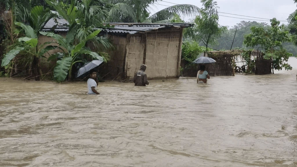 ৰাজ্যত বানৰ সংহাৰ! ১৭ আৰু ১৮ জুনত এইকেইখন জিলাত শিক্ষানুষ্ঠান বন্ধ ঘোষণা... 2 image 133