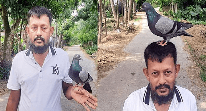 অদ্ভূত ভালপোৱা! কয়দী মিজানুৰৰ মুক্তিৰ পিছত কাৰাগাৰৰ পৰা লগতে গুচি আহিল এহাল পাৰ চৰাই 3 image 141