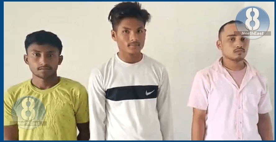 আৰক্ষীৰ অভিযানত জব্দ চোৰাং কাঠ ভৰ্তি বাহন, আটক তিনি যুৱক... 1 image 167