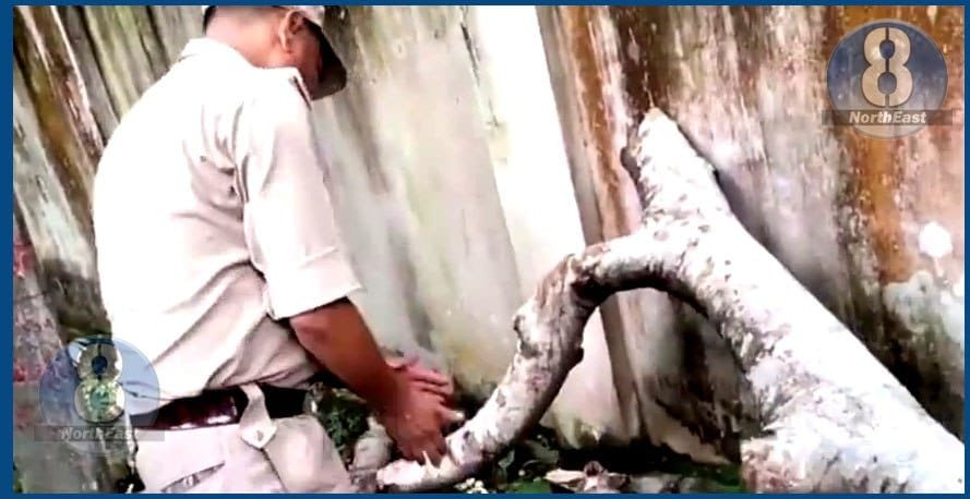 শোকাৱহ! চলন্ত স্কুটীৰ ওপৰত ভাঙি পৰিল গছৰ ডাল, থিতাতে মৃত্যু চালকৰ 1 photo 2022 07 29 10 35 38