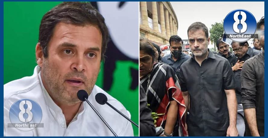 rahul handhi protest