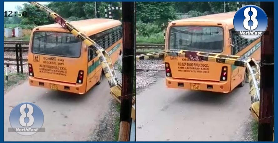 school bus cc