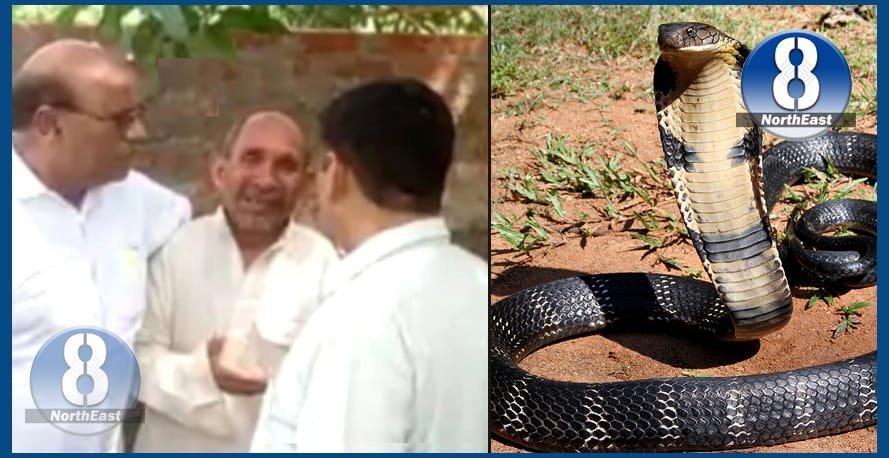 snake bit