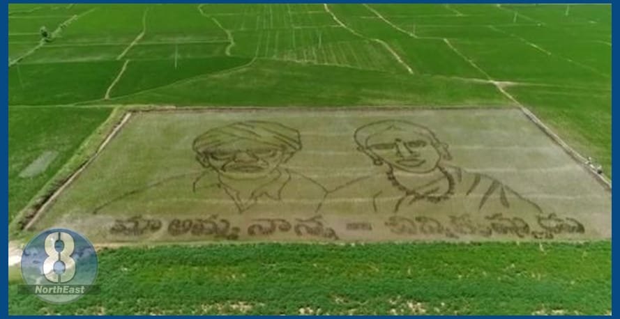 farmer pic