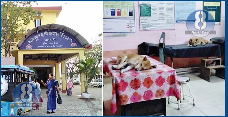 kukur in hospital
