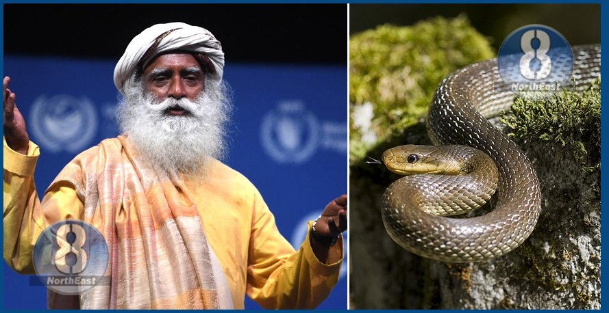 sadguru snake