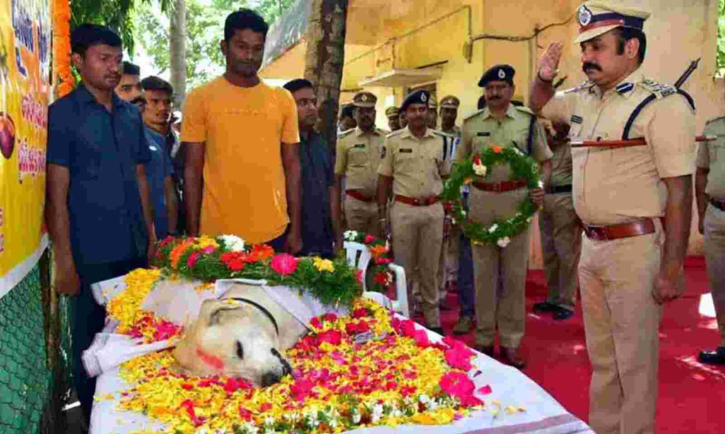 শোকাবহ! প্ৰধানমন্ত্ৰীৰ ভ্ৰমণৰ সময়ত নিৰাপত্তাত নিয়োজিত আৰক্ষীৰ স্নিফাৰ ডগ টাইছনৰ মৃত্যু, সামৰিক মৰ্যাদাৰে জনোৱা হ’ল শেষ বিদায়… 1 image 114
