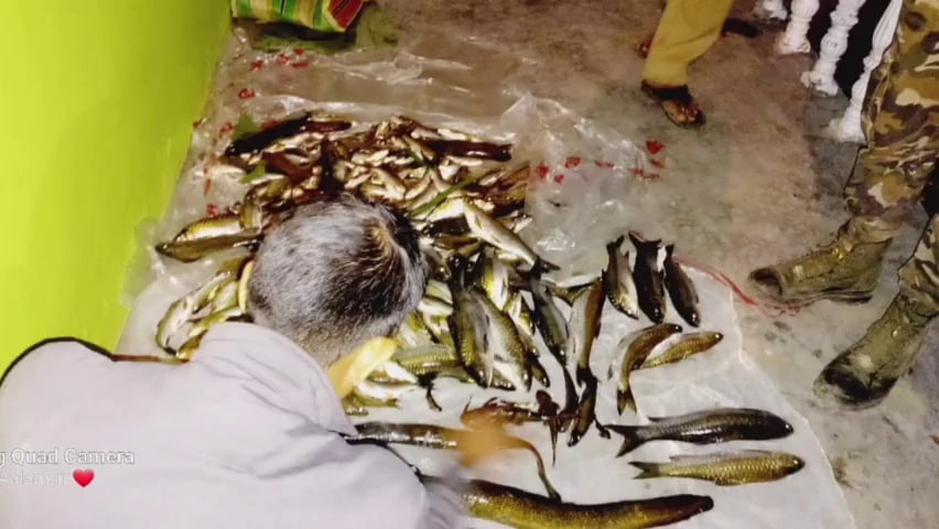 বন বিভাগে নিৰ্মাণ কৰা ইক’ কেম্পত বৈদ্যুতিক শ্বক দি মৎস চিকাৰ! কাছাৰৰ ৭ যুৱকক গ্ৰেপ্তাৰ 3 image 120