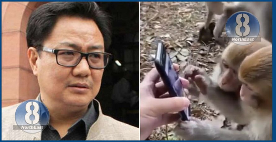 kiren rijiju monkey