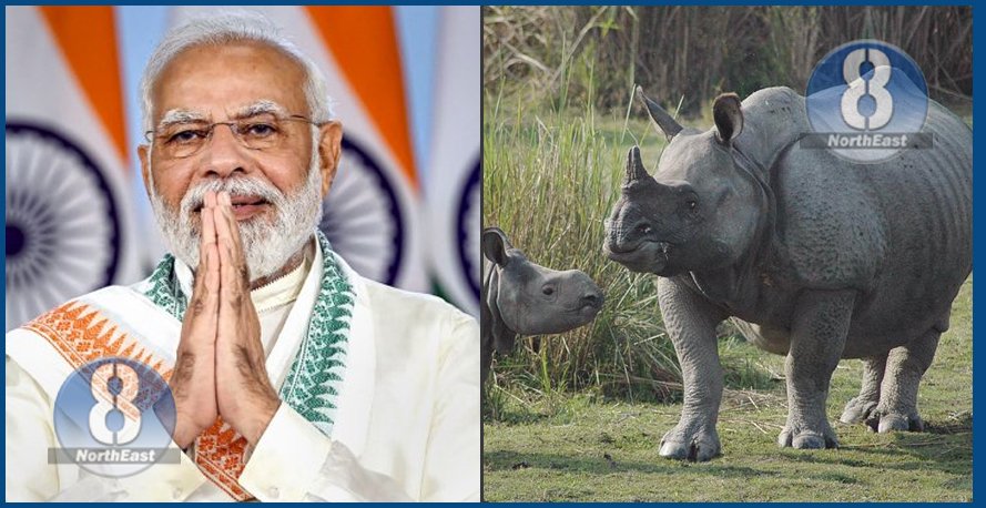 rhino assam and modi