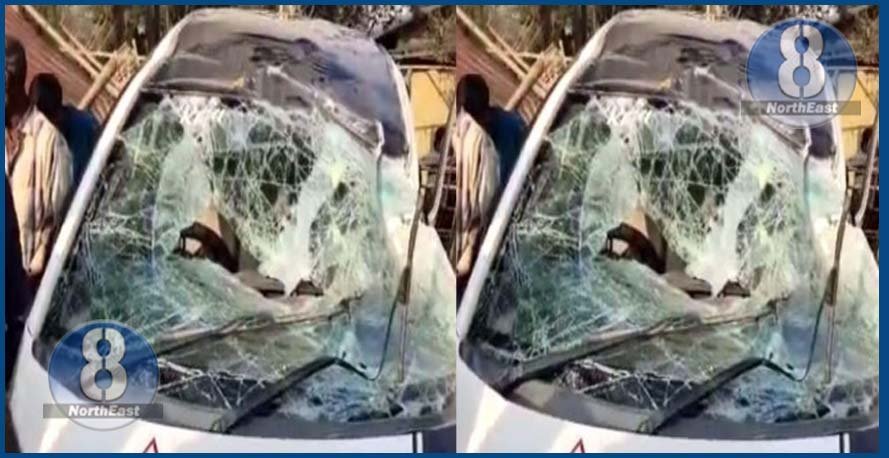 ভয়ংকৰ দুৰ্ঘটনা! তীব্ৰবেগী বাহনে মহটিয়াই নিলে কেইবাজনো লোকক, এগৰাকী কণমানিৰ মৃত্যু... 1 122