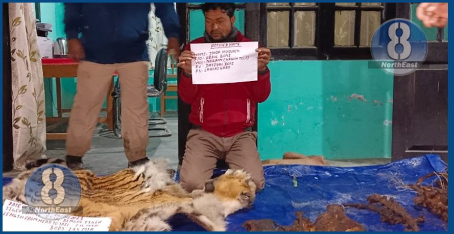 অৰুণাচলৰ অৰণ্যত চোৰাং চিকাৰ কৰা দুষ্প্ৰাপ্য ৰয়েল বেংগল বাঘৰ অংগ অসমৰ মাজেৰে সৰবৰাহ! শদিয়াত আটক চোৰাং ব্যৱসায়ী… 1 jakir sorang
