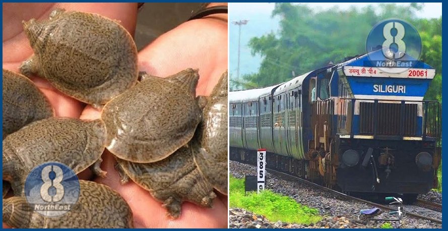 kaso
