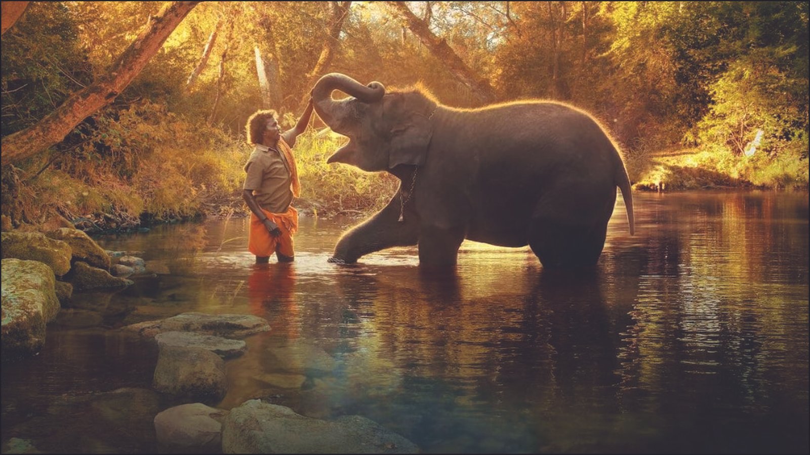 Elephant Whisperers
