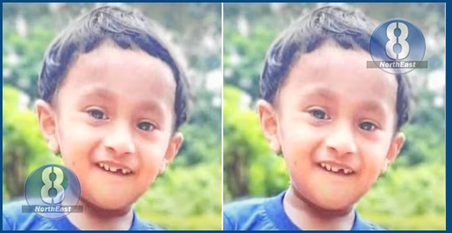 শোকাবহ! হঠাৎ গাড়ীৰ সন্মুখত উপস্থিত হোৱা বন গাহৰিক বচাবলৈ গৈ লুটি খাই পৰিল অটো ৰিক্সা, কণমানিৰ মৃত্যু 1 bon gahori