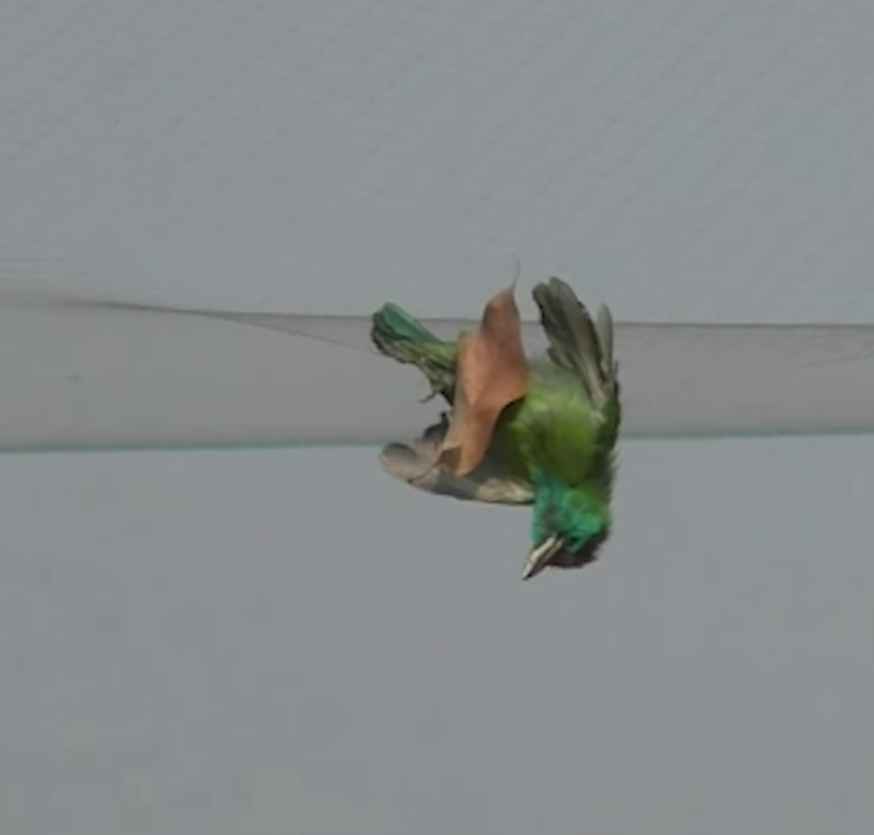 image 101