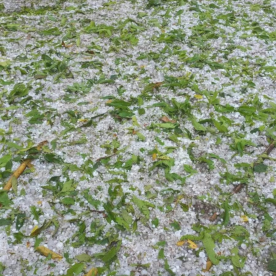 প্ৰৱল শিলাবৃষ্টিত ব্যাহত ডিমা হাছাওৰ জনজীৱন! বিস্তৰ ক্ষতিসাধন… 3 image 44