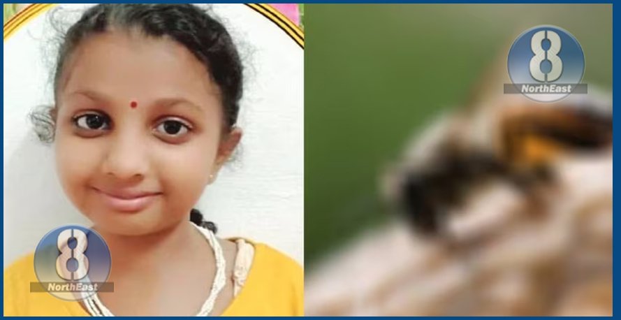 মৰ্মান্তিক! চোতালত খেলি থাকোতেই কাণৰ তলত বিষাক্ত কীটৰ কামোৰ, হাস্পতালত চিকিৎসাধীন অৱস্থাত মৃত্যু কিশোৰীৰ… 1 keet