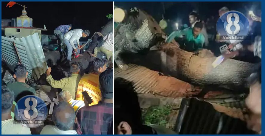 7 killed maharastra