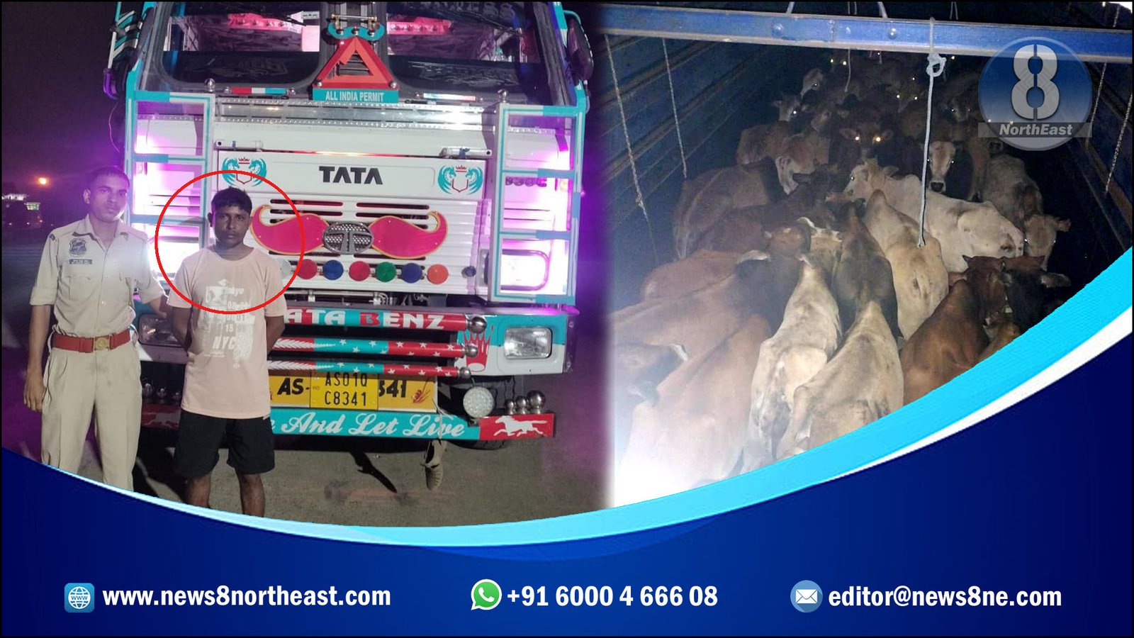 Guwahati News- Cow Smuggler Arrested-cow transporting truck seized