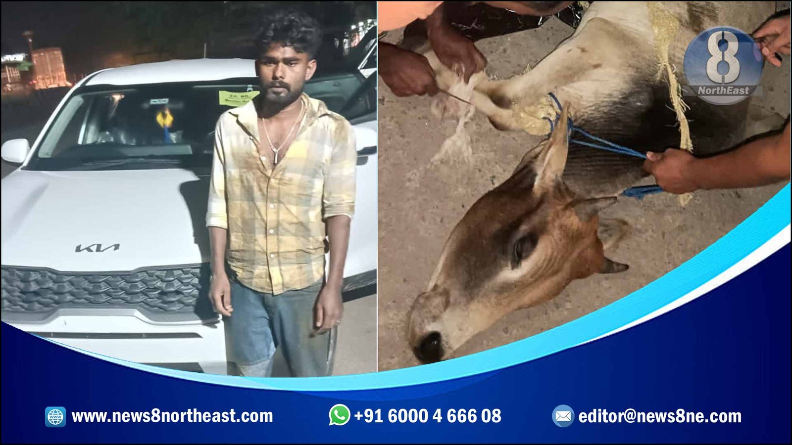 Guwahati-News-Cow-Smuggling-in-passenger-vehicle