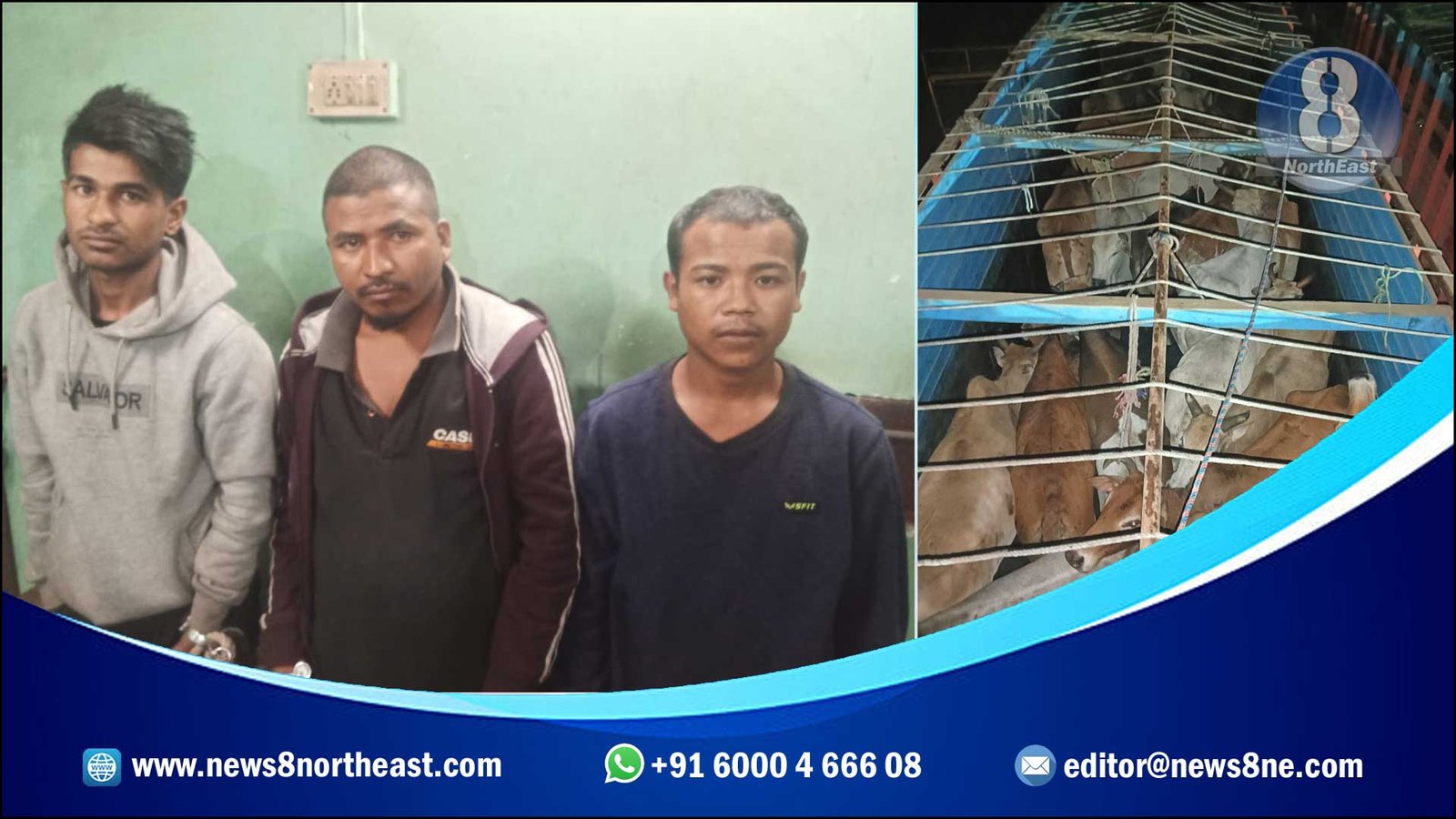 Guwahati-Cattle-Rescued
