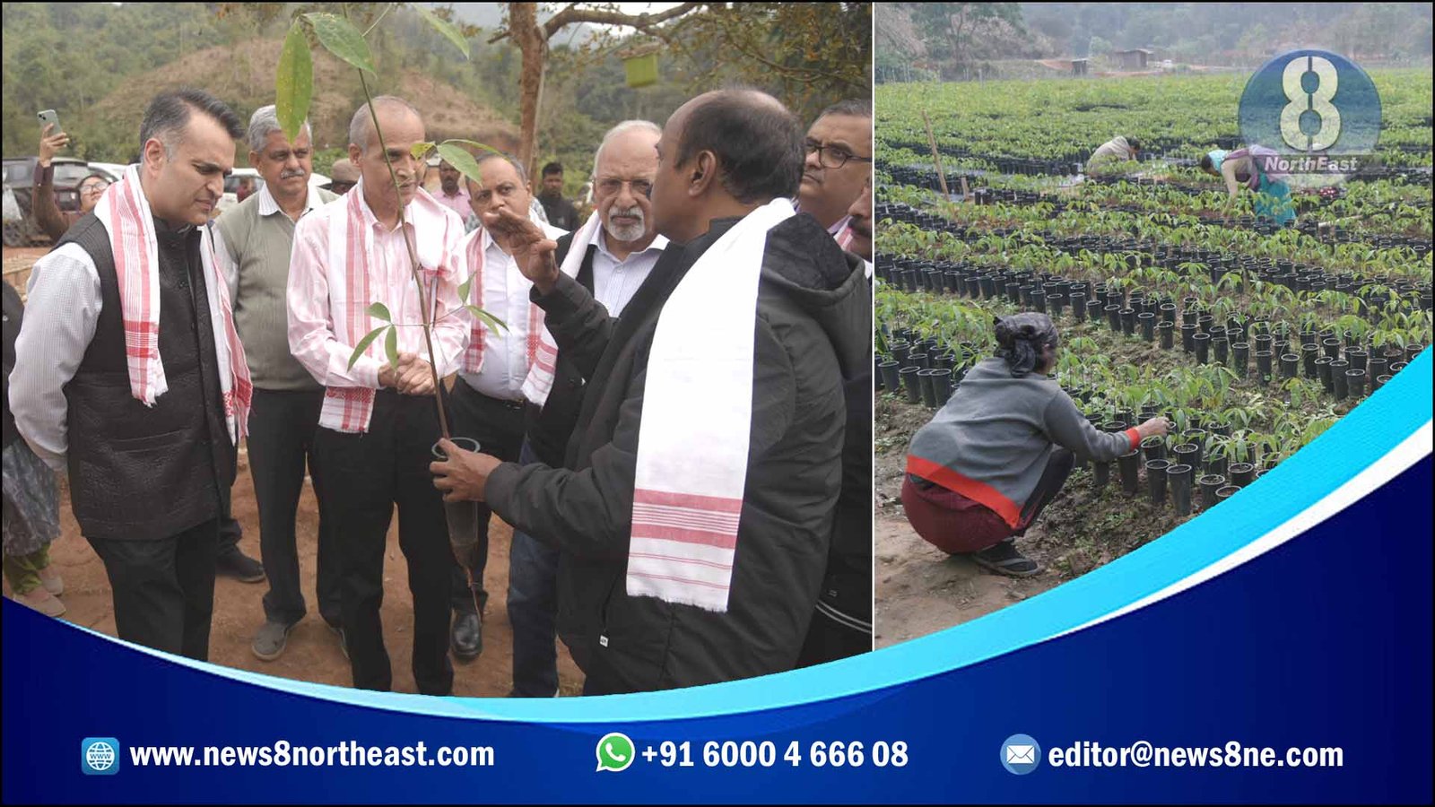 atma-rubber-board-natural-rubber-production-northeast